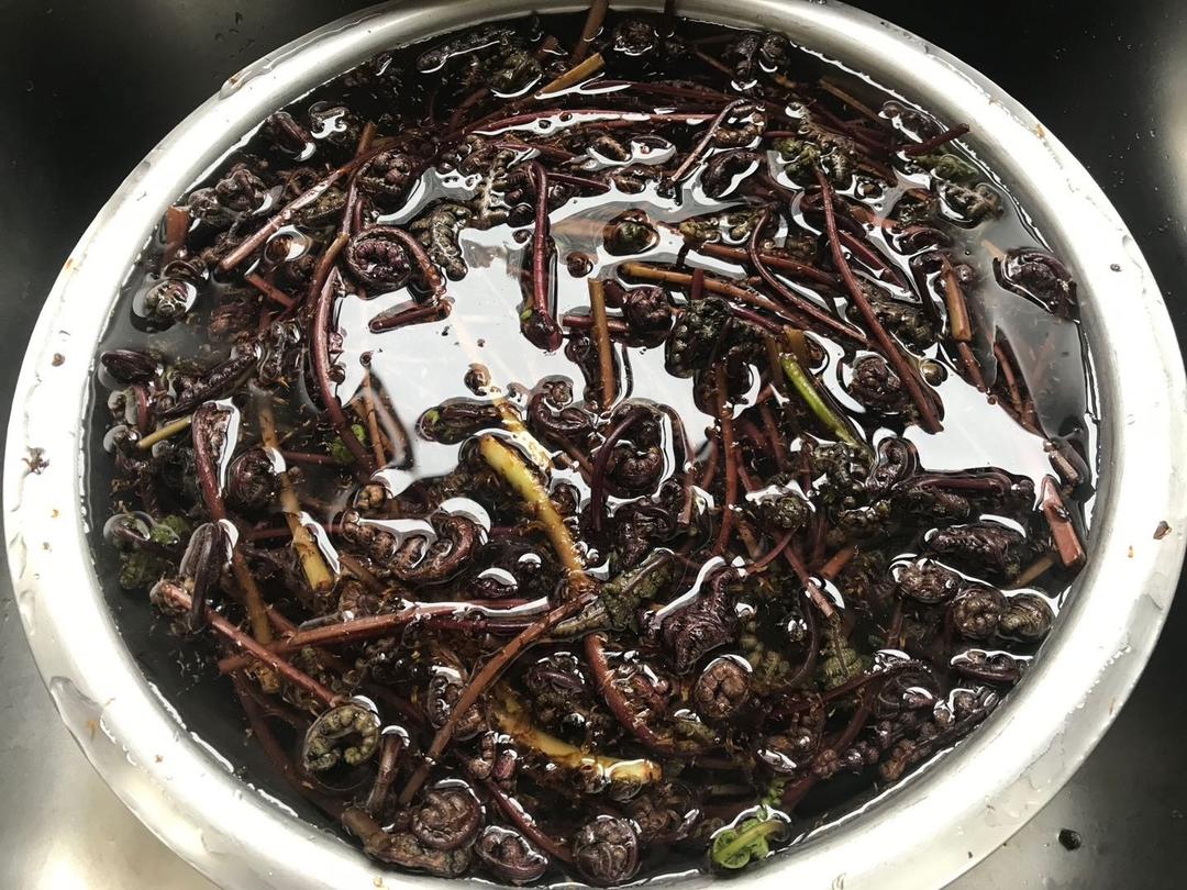 蕨菜炒肉的做法步骤图 蕨菜炒肉怎么做好吃 红叶健康厨房 下厨房