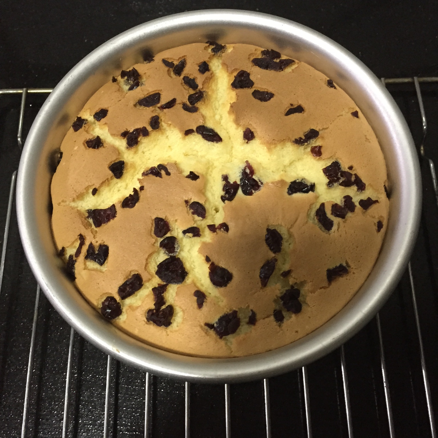 手机用户6243_0r4z