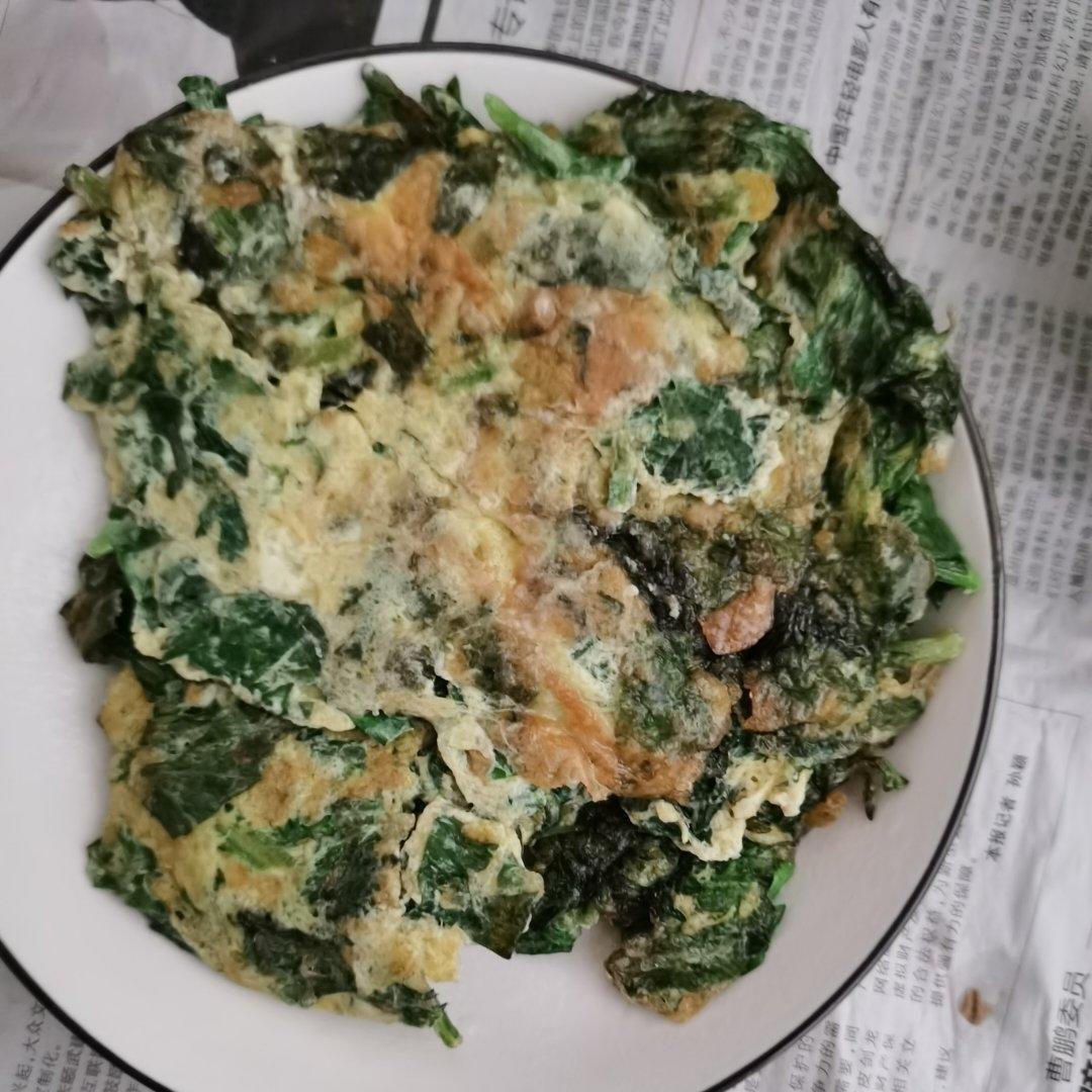 小婷食光🔆芹菜叶炒鸡蛋