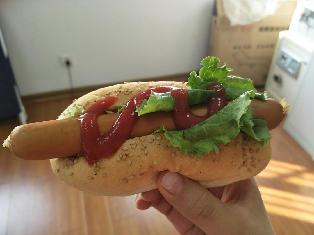 记录一个超级软的万用汉堡胚（波兰种）