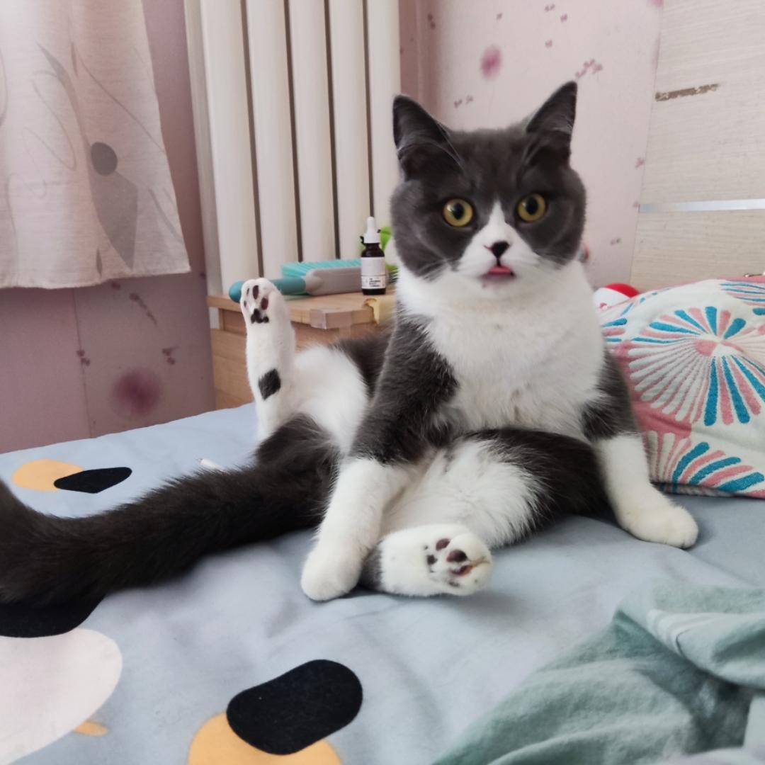 璐哥有点馋的厨房