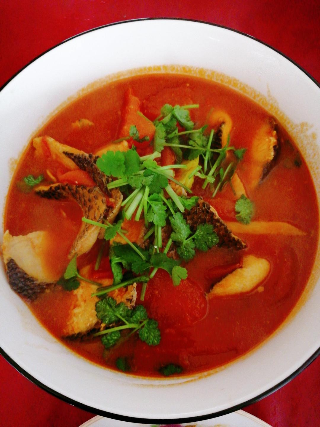 我终于做鱼了 番茄黑鱼