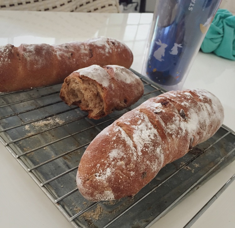 全麦红糖桂圆软欧包