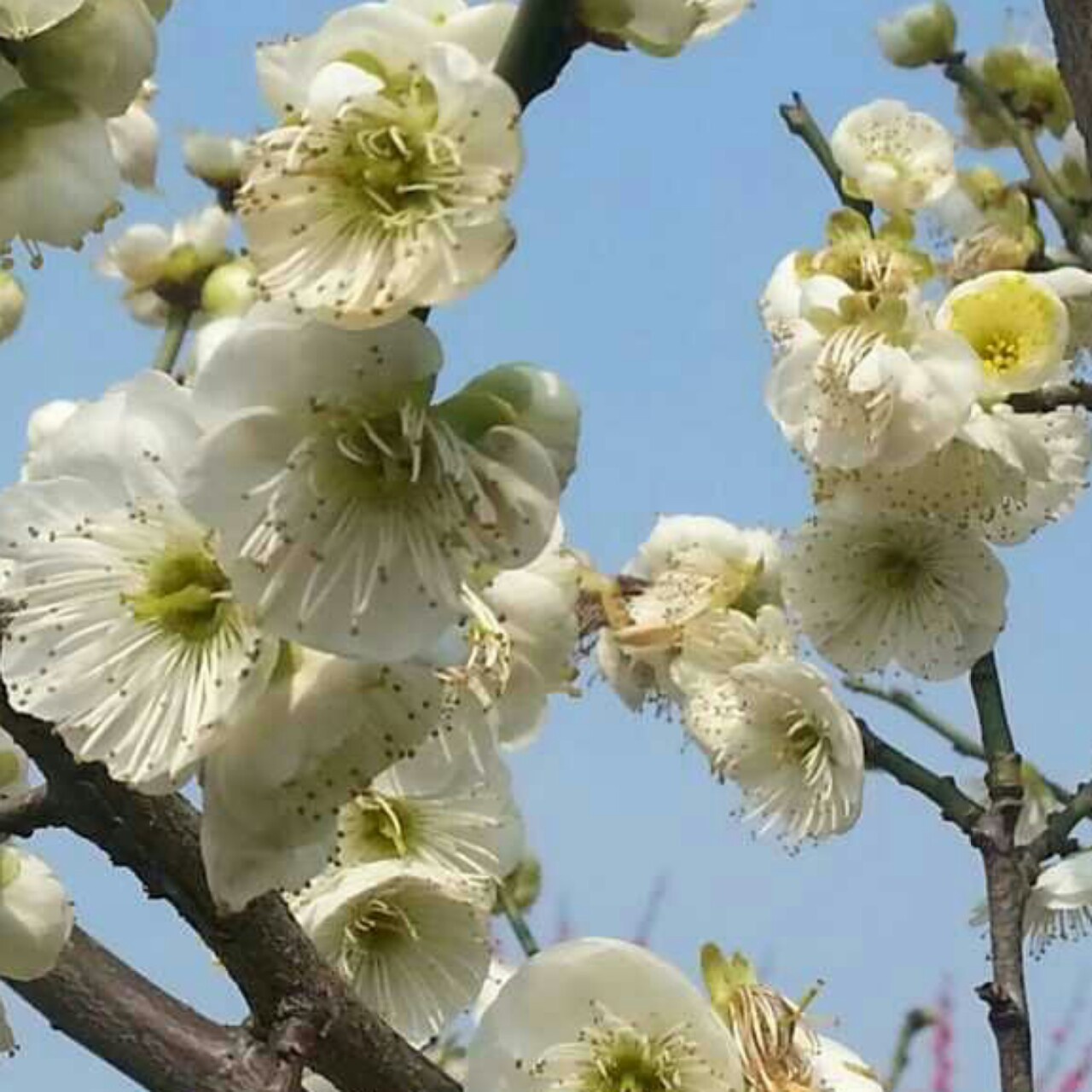 毅凡妈的私家厨房