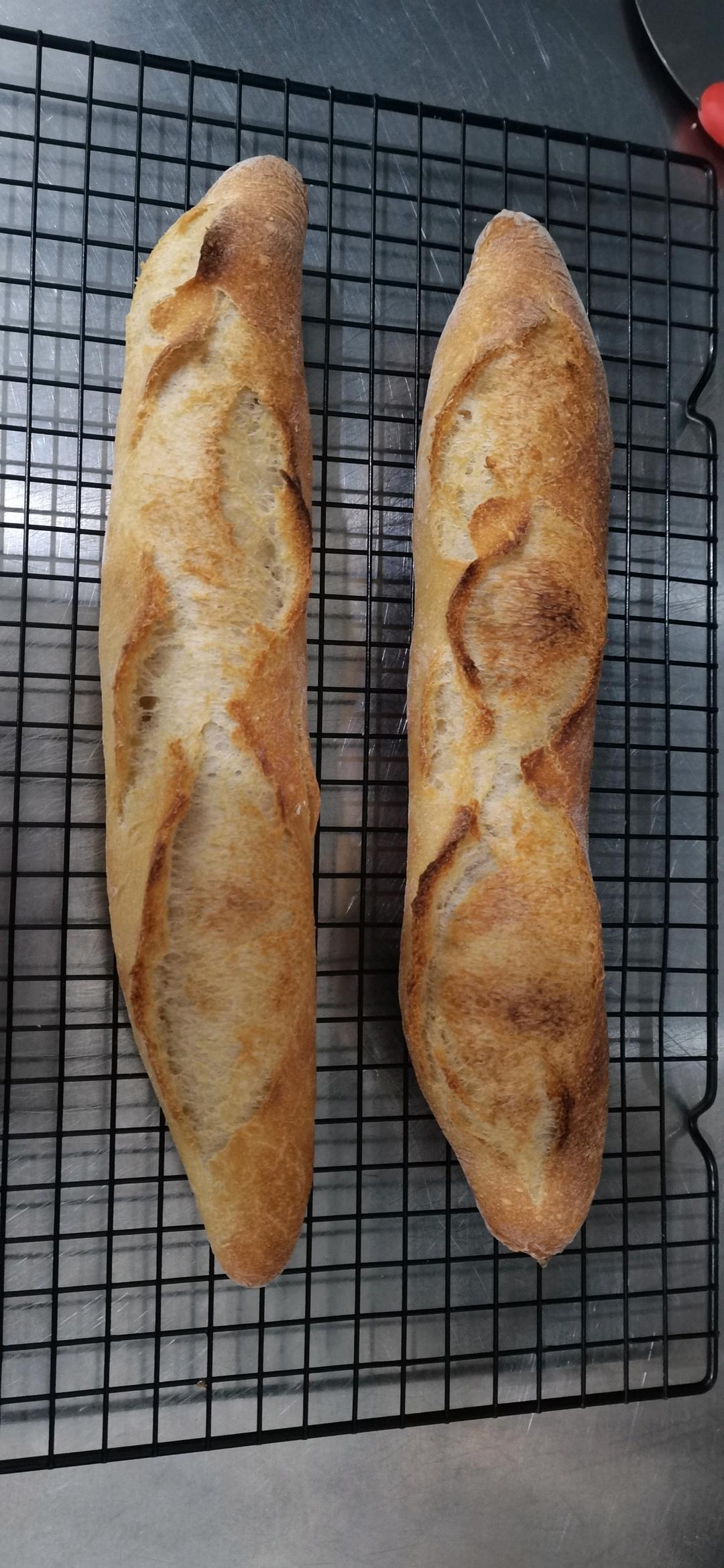 polish种 波兰种 法棍 内附整形视频