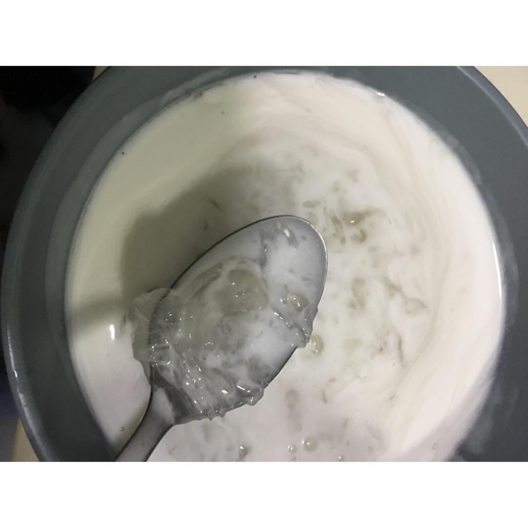 椰汁燕窝西米露