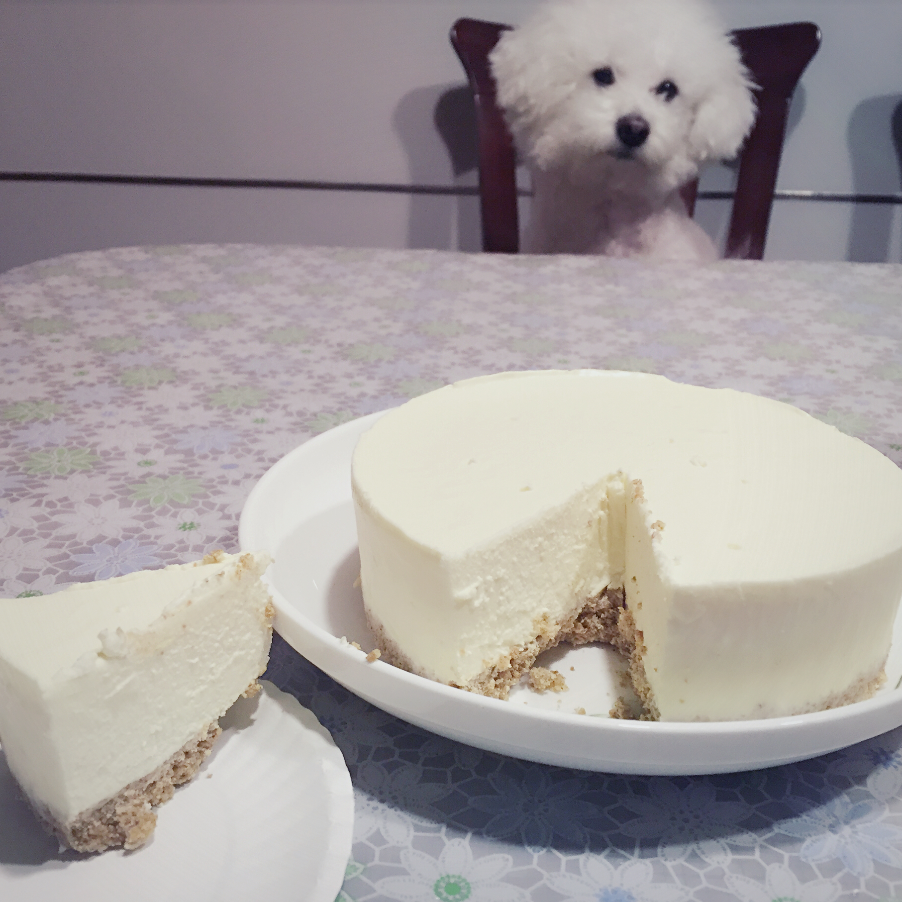 【视频】免烤冻芝士蛋糕 | 超适合夏日