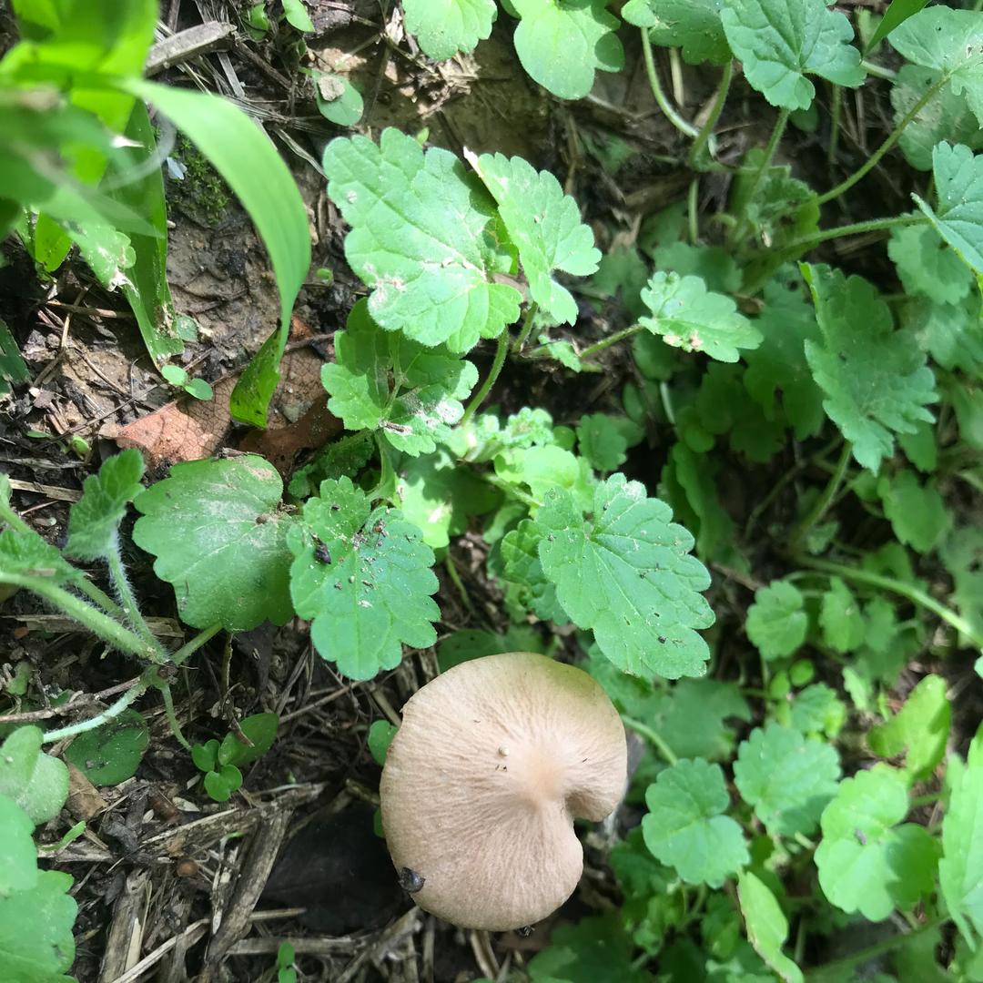 尝尽酸甜苦辣咸