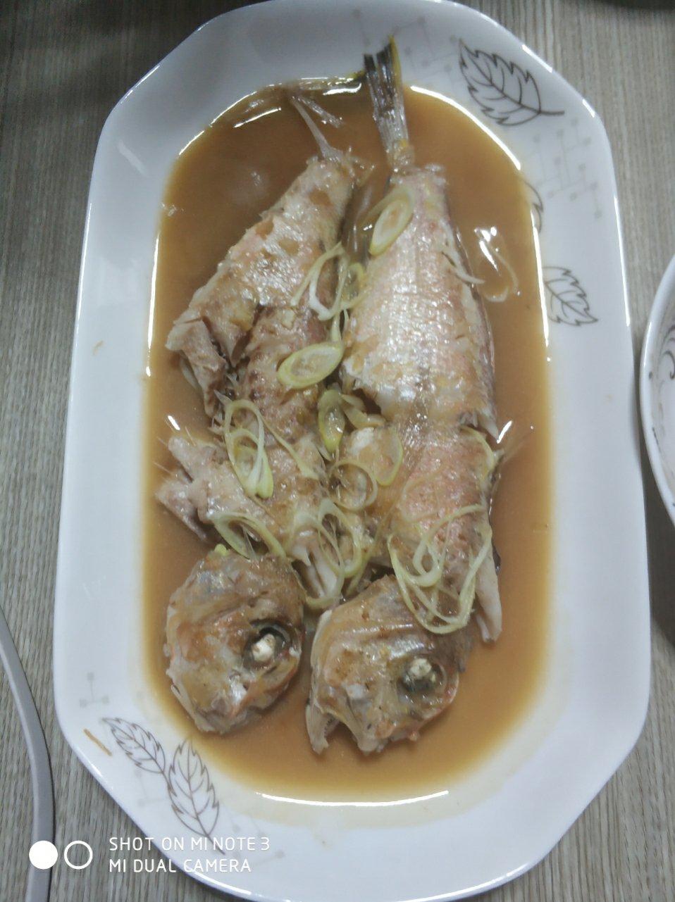 清蒸马头鱼
