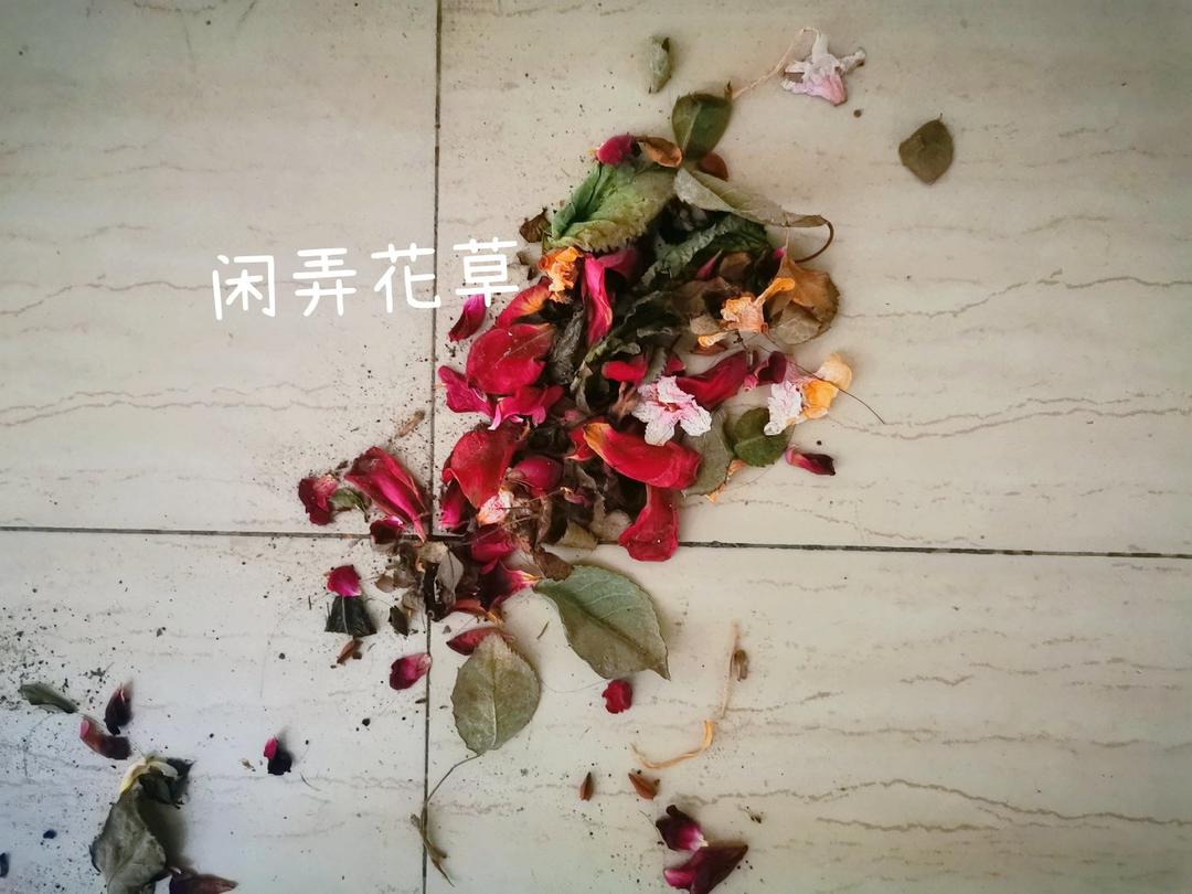 冰点草莓