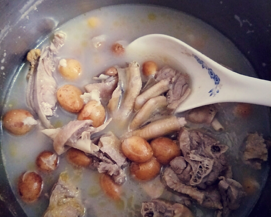 黄皮老鸭汤(夏季开胃解暑汤)的做法