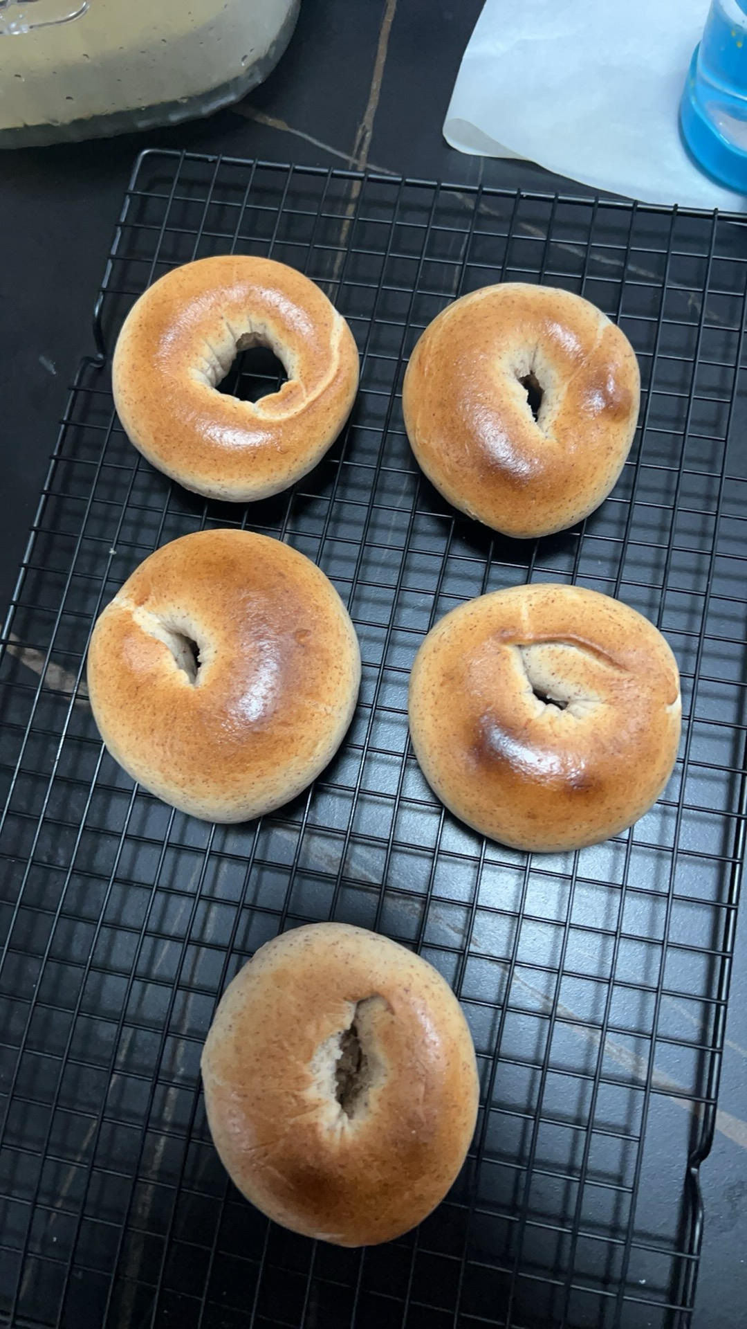 全麦贝果🥯