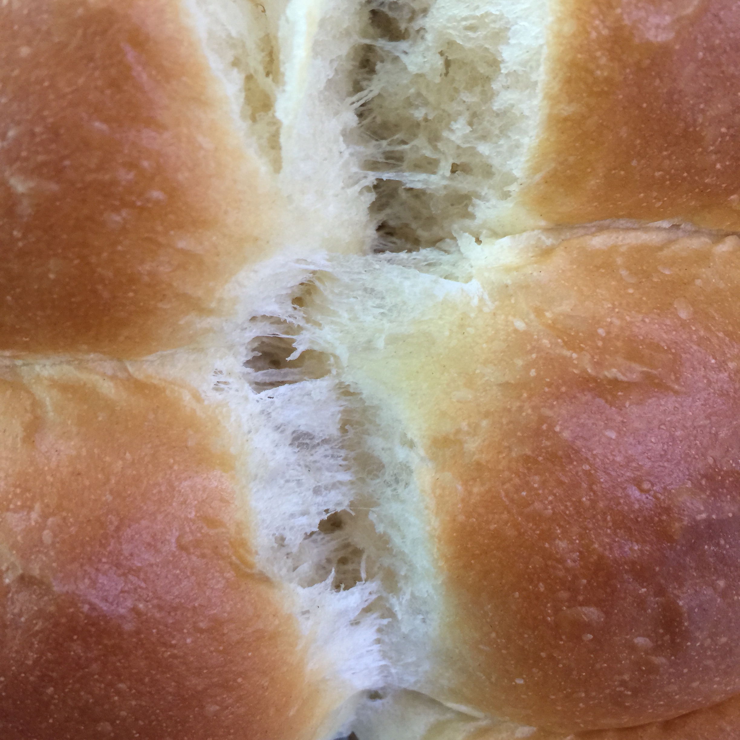 【技能贴】烘焙新手面包技巧——揉面、发酵和很多很多小窍门