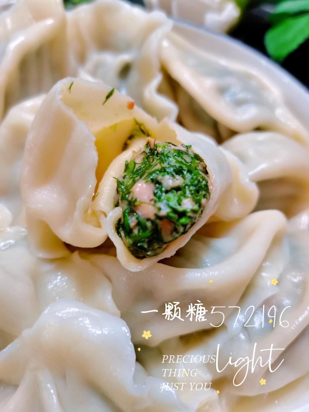 ༄「茴香鲜肉饺子🥟」༄个个流汁、咸香可口🫰🫰🫰的做法