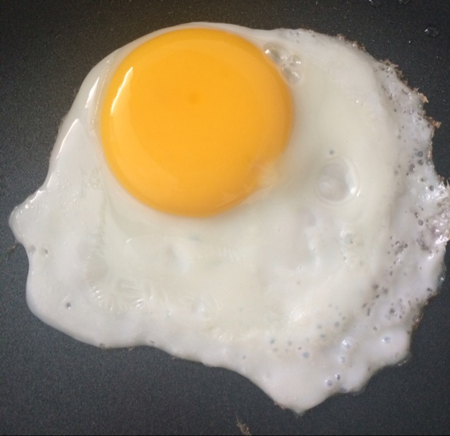 【熊记】太阳蛋