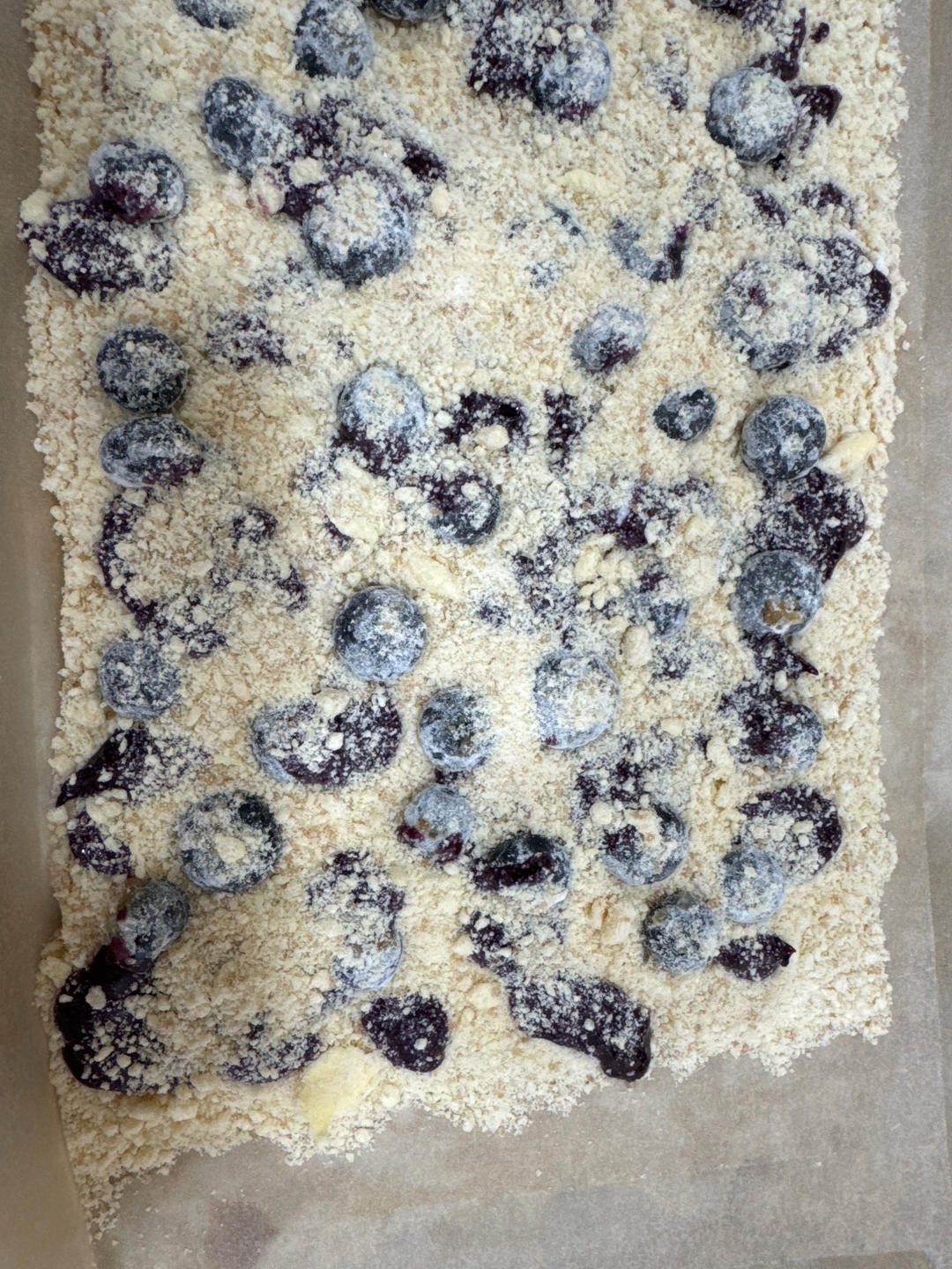 蓝莓酥粒小方块Blueberry Crumber Bars