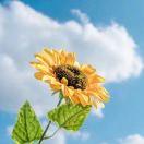 爱生活的每个细节