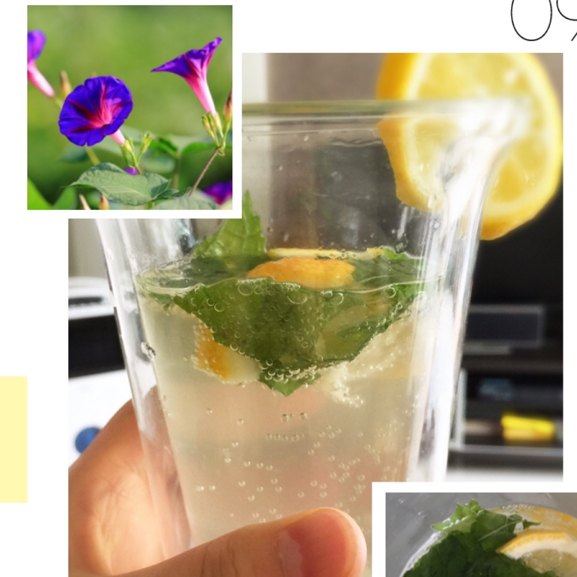 Mojito 莫吉托