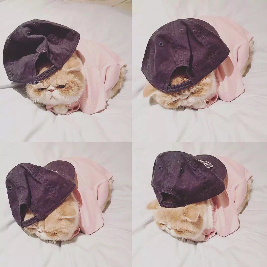 薛拉拉