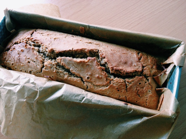 Corn Bread(玉米面包)