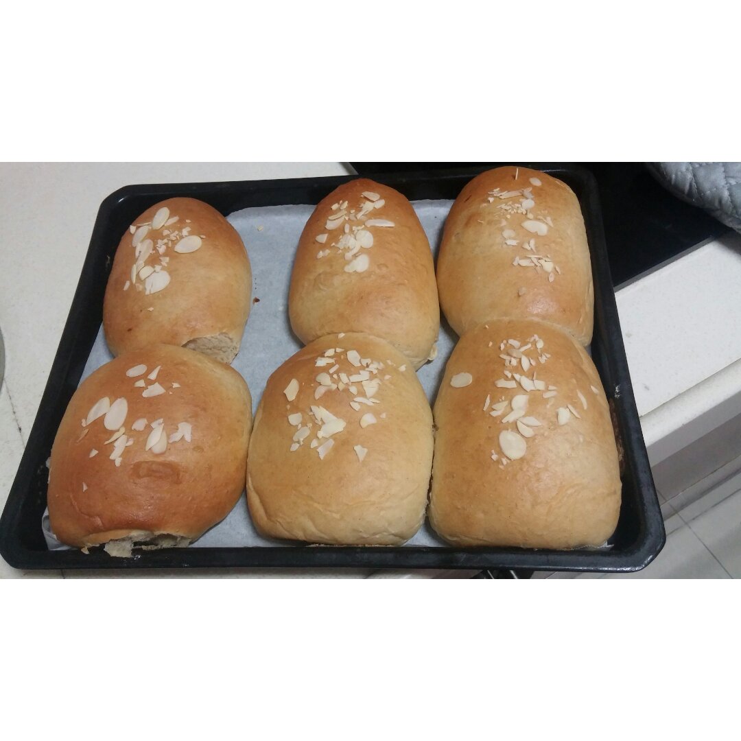 原味蘑菇包（一次性发酵）