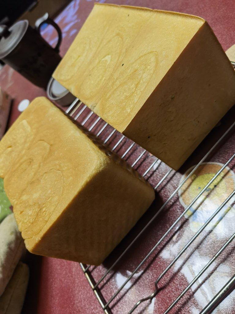🌟只需一发的软妹子🌟奶香吐司🍞