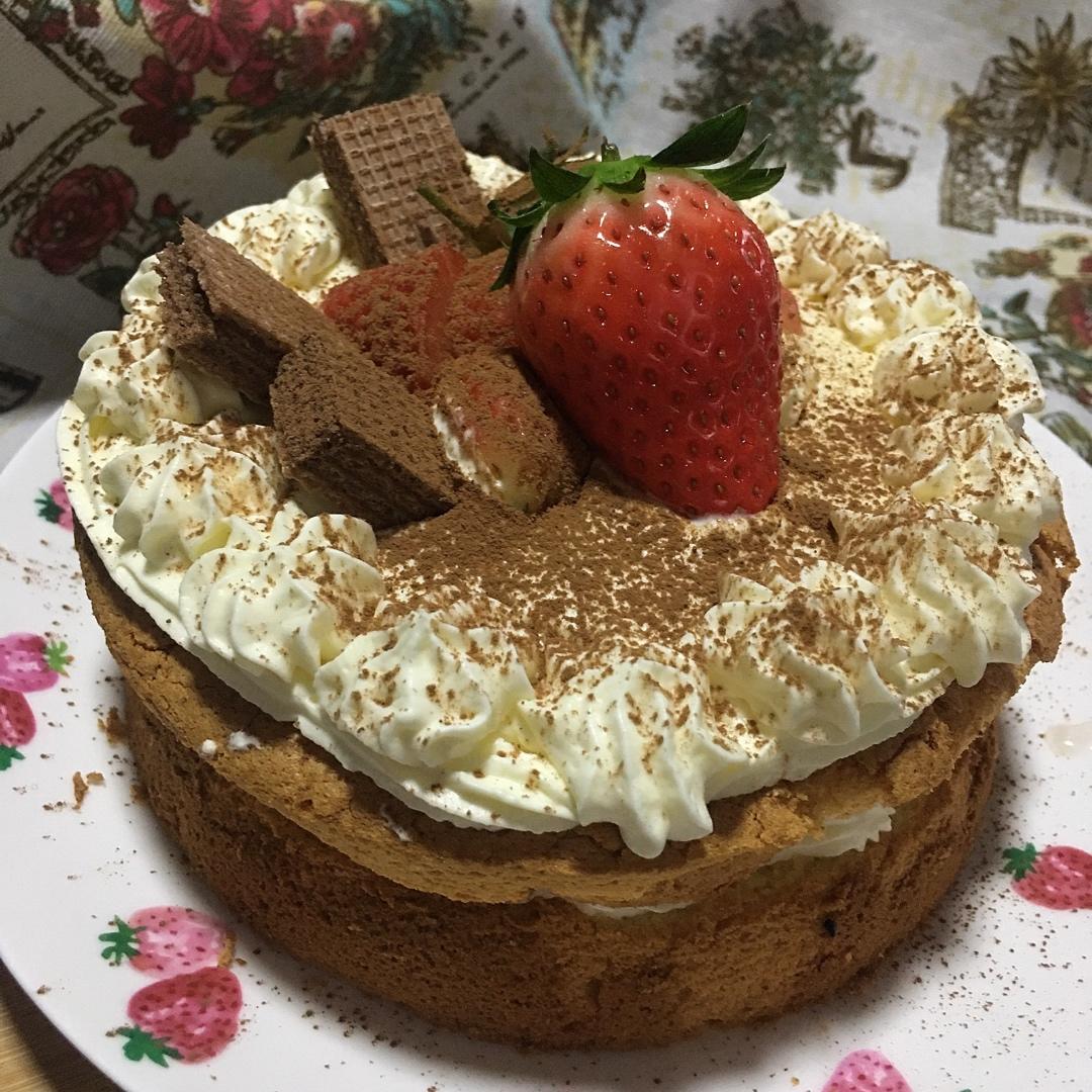 可可戚风水果裸蛋糕