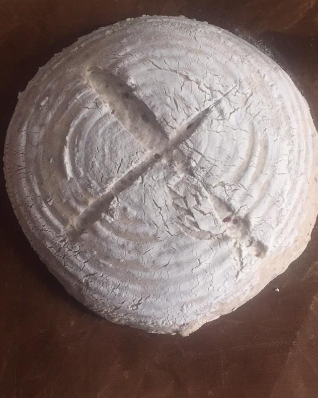 🍞免揉欧包新手入门指南（冷藏发酵、无油无糖）