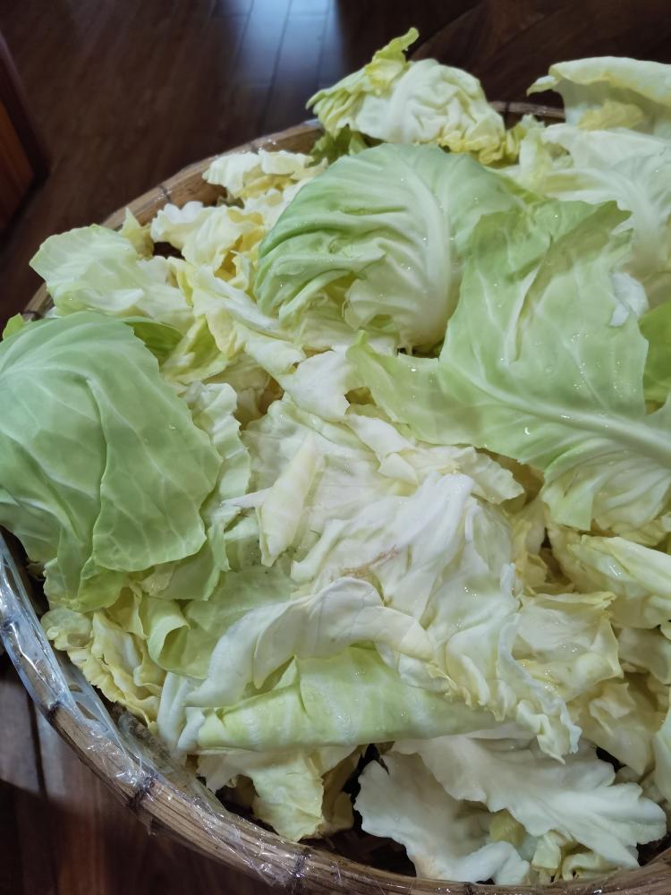 海南腌椰菜的做法 步骤1