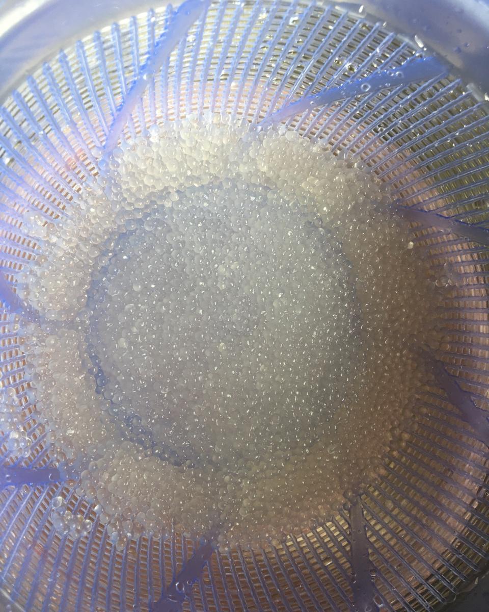 西米这么煮