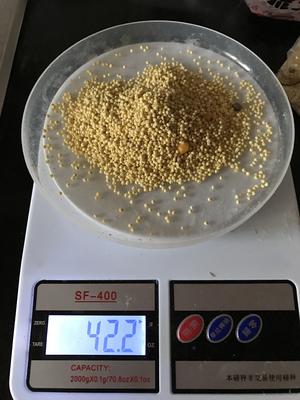 大黄米八宝饭的做法 步骤2
