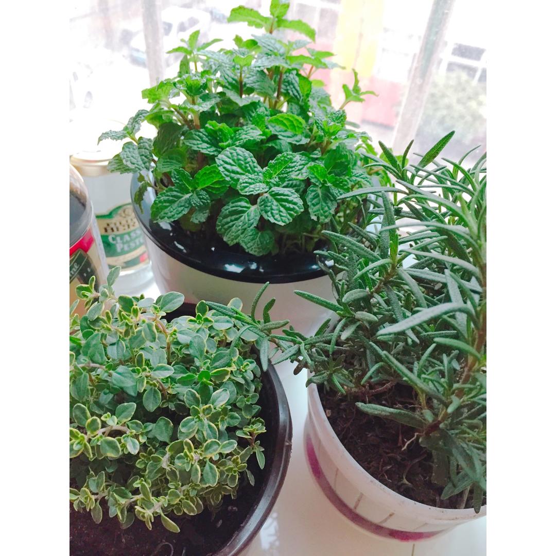 午餐•2016年12月25日