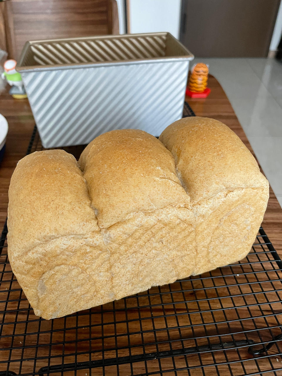 减脂｜无糖全麦吐司🍞，无糖全麦也能长得高