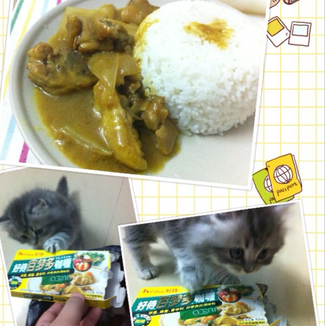 美味咖喱鸡饭