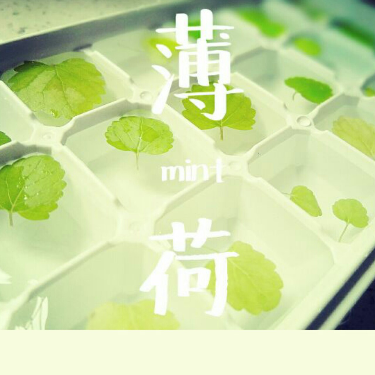 生活