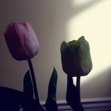 好吃好喝不懒做