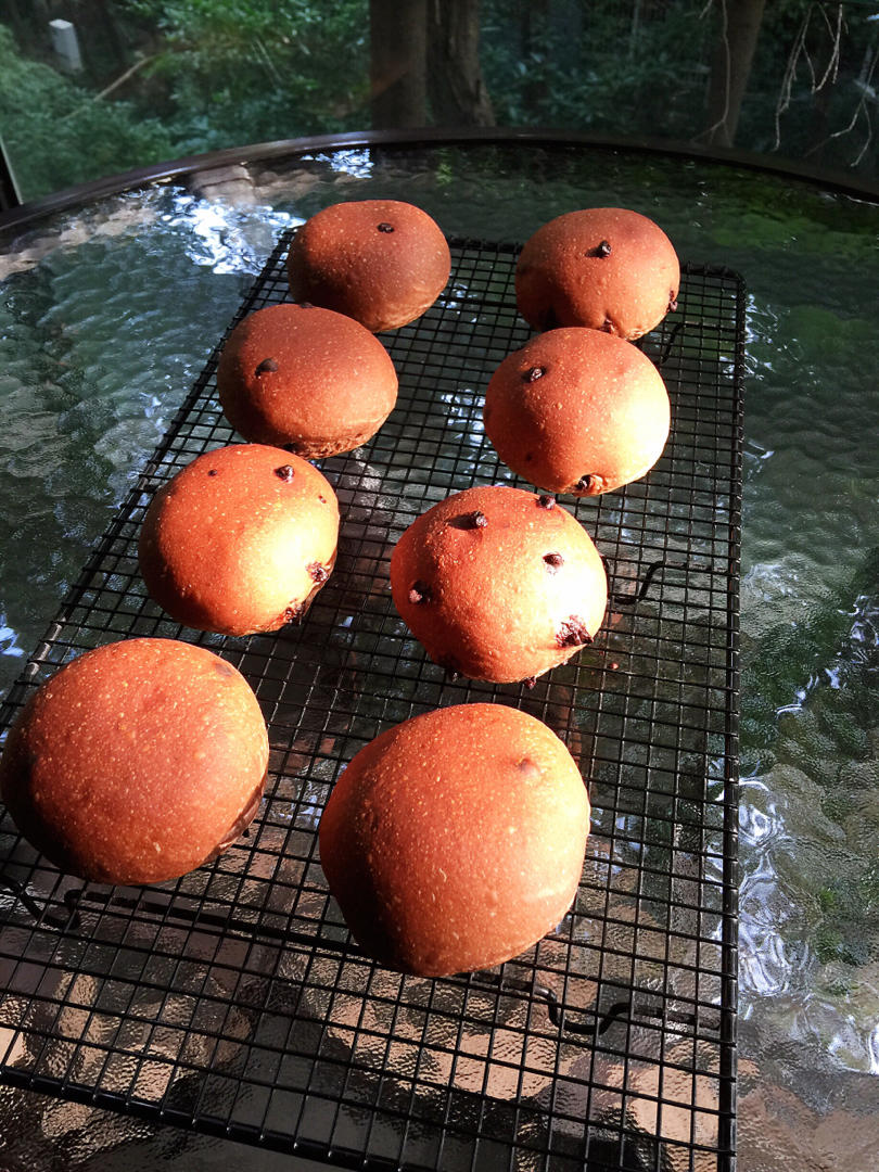 豪华版黑眼豆豆