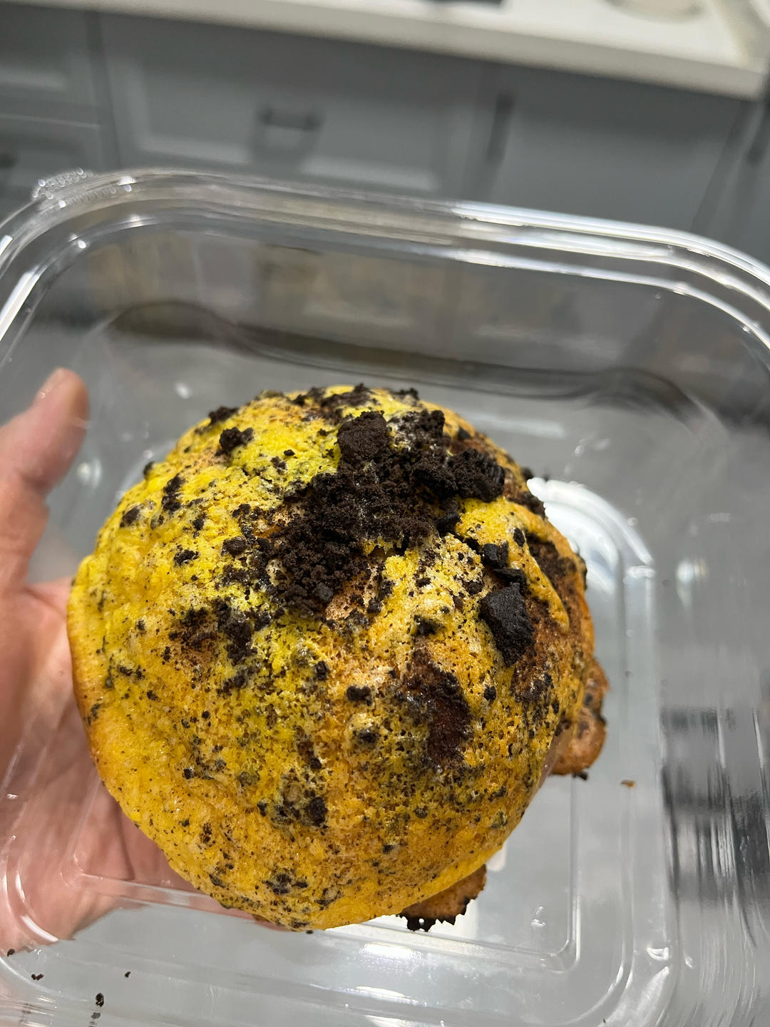 奥利奥脆皮面包🌟外脆里软 真滴好看又好吃！