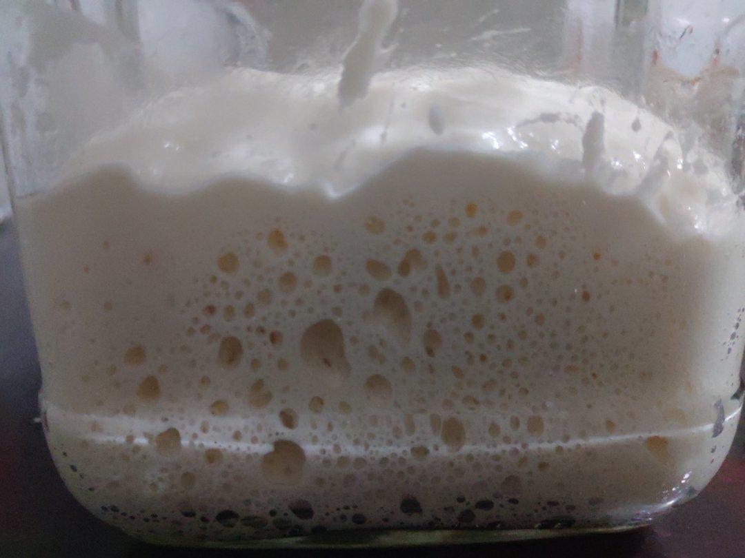 葡萄干天然酵母 酵种及酵头