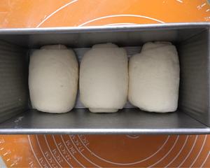 混合酵母面包4:  白吐司（堂本）的做法 步骤5