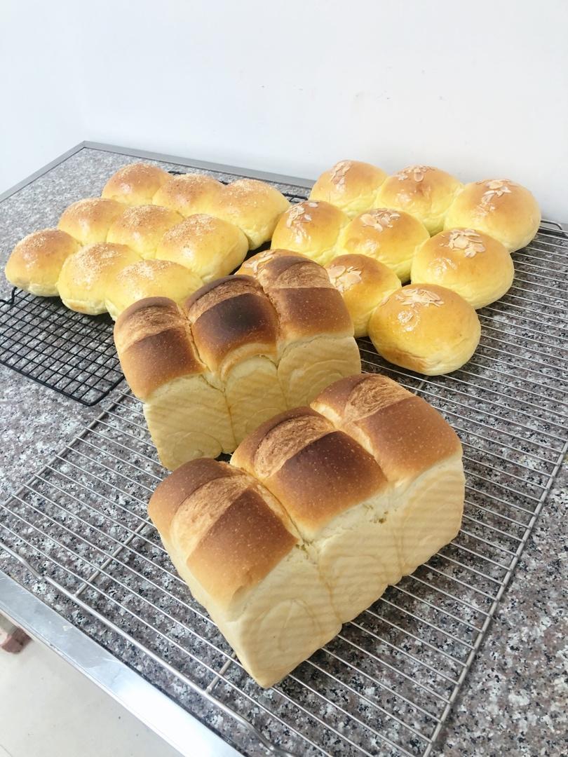 🌟只需一发的软妹子🌟奶香吐司🍞
