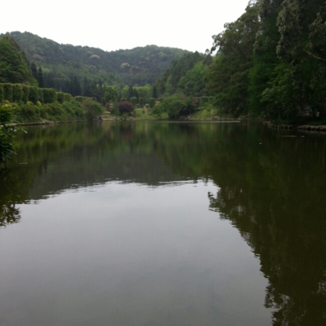 晚餐•2014年4月30日