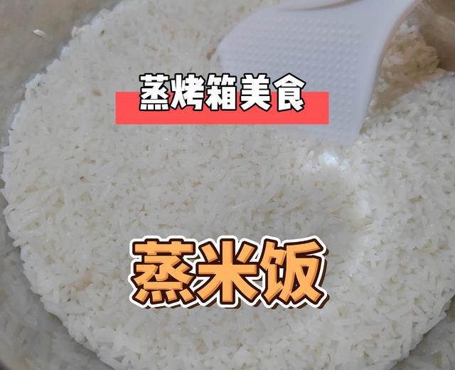 蒸烤箱蒸米饭-德思蒸烤箱