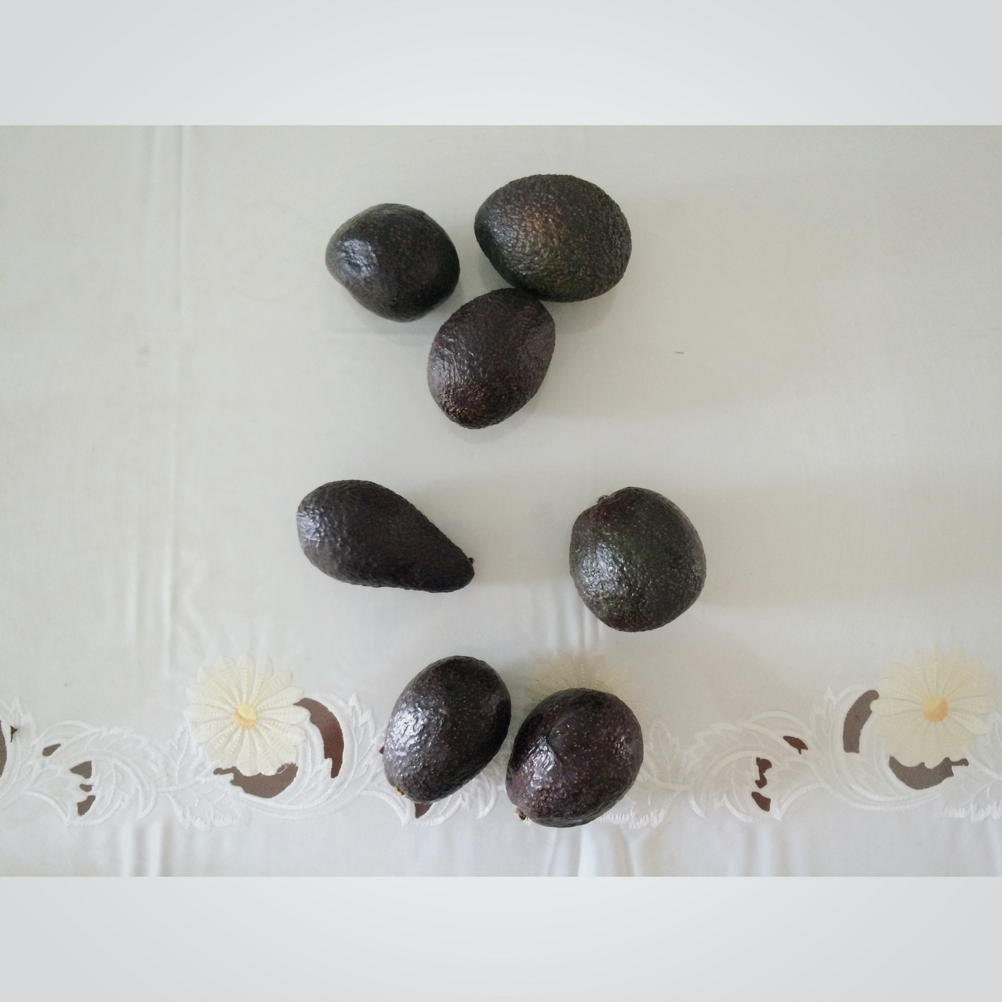 消灭牛油果大作战