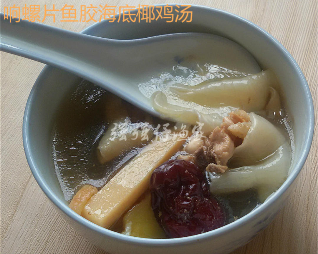 响螺片鱼胶海底椰鸡汤