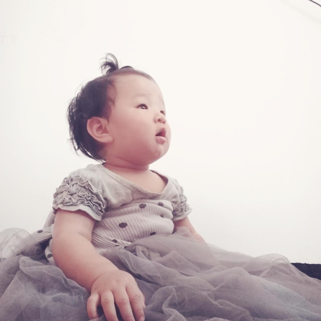 小鹿877