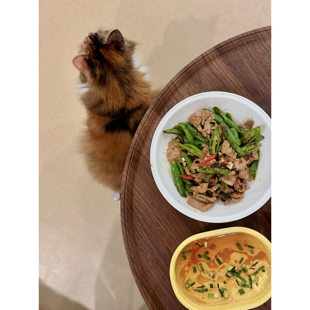 😍超好吃！还原费大厨辣椒炒肉！