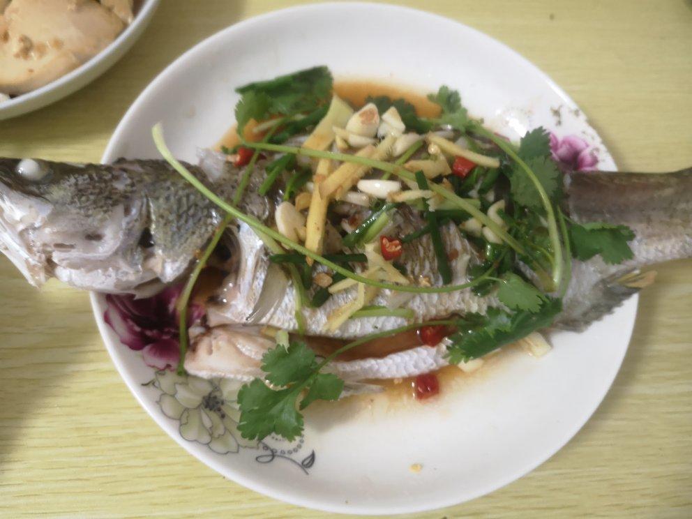 清蒸鲈鱼