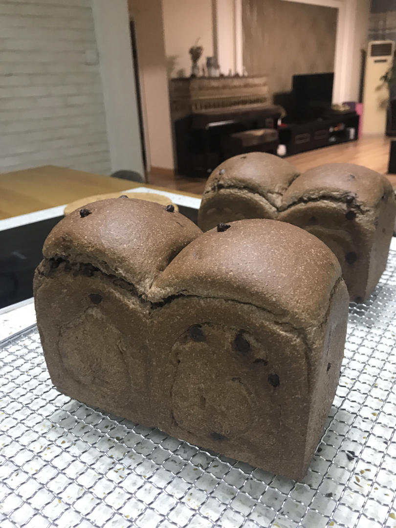 50%全麦牛奶巧克力可可吐司【70%中种】