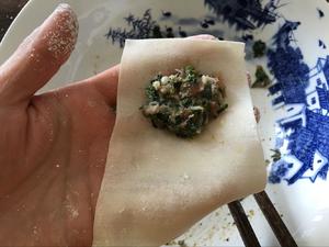 荠菜鲜肉小混沌的做法 步骤5